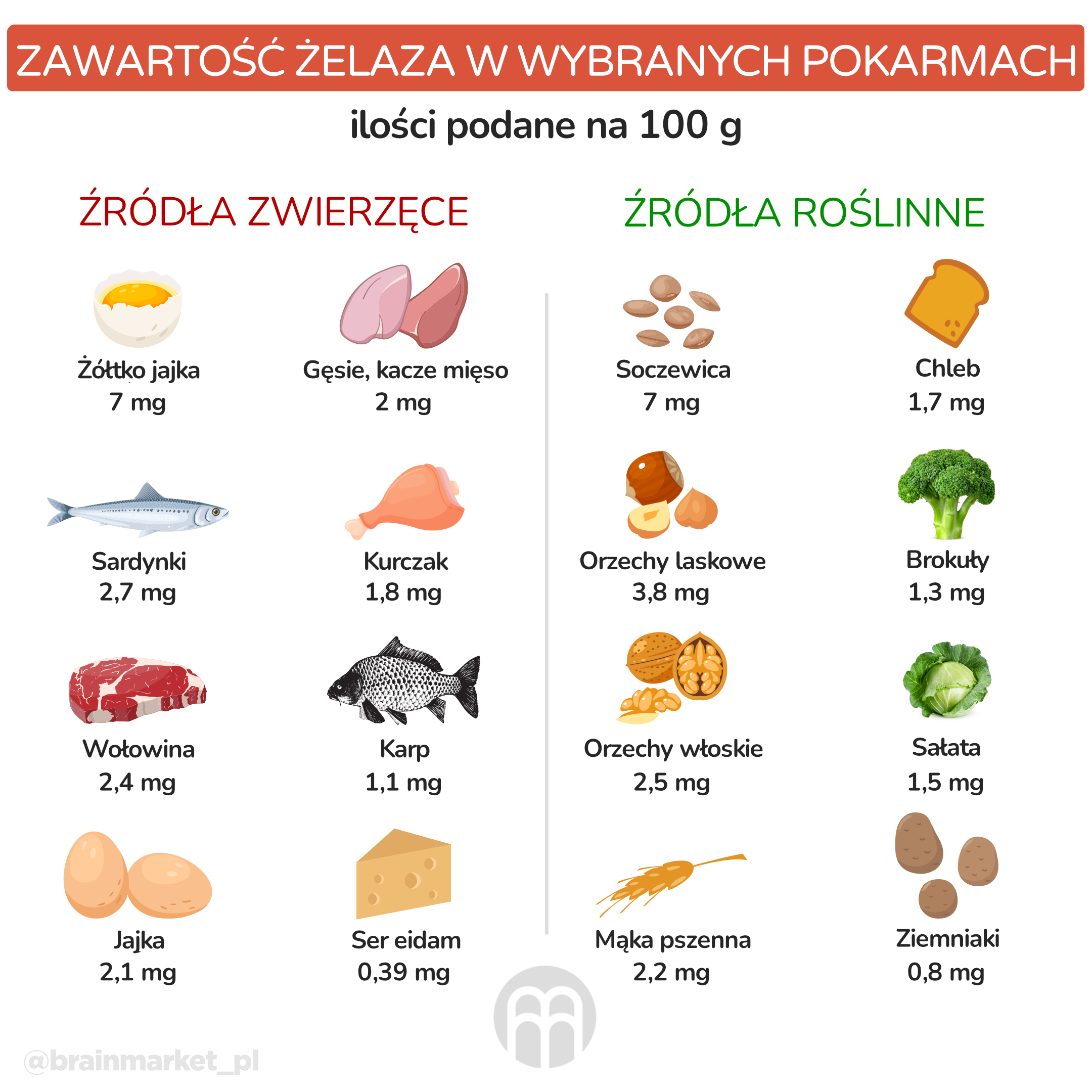 Obsah zeleza v potravinach-infografika_pl